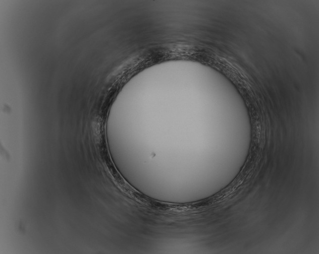 X0000091090757200708060959
