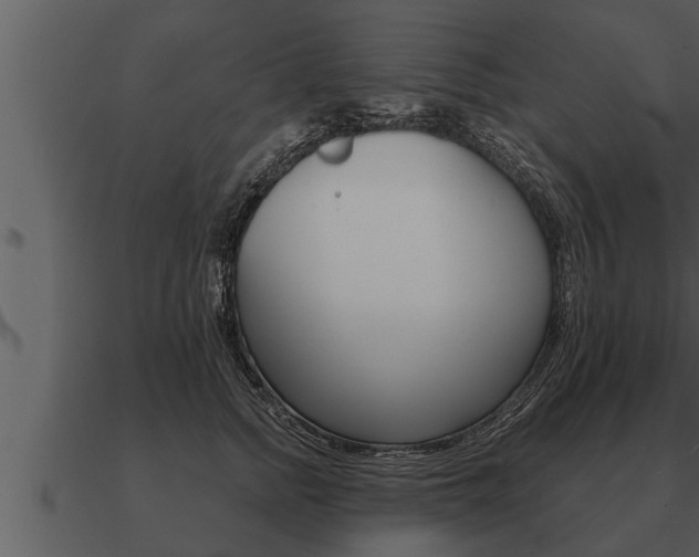 X0000091090758200708060959