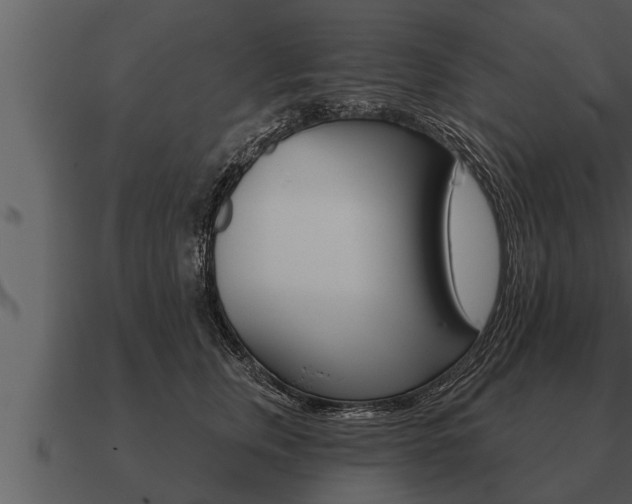 X0000091090759200708060959