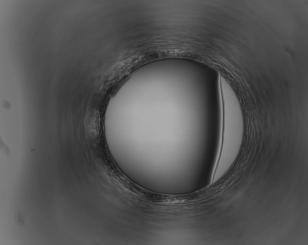 X0000091090760200708060959