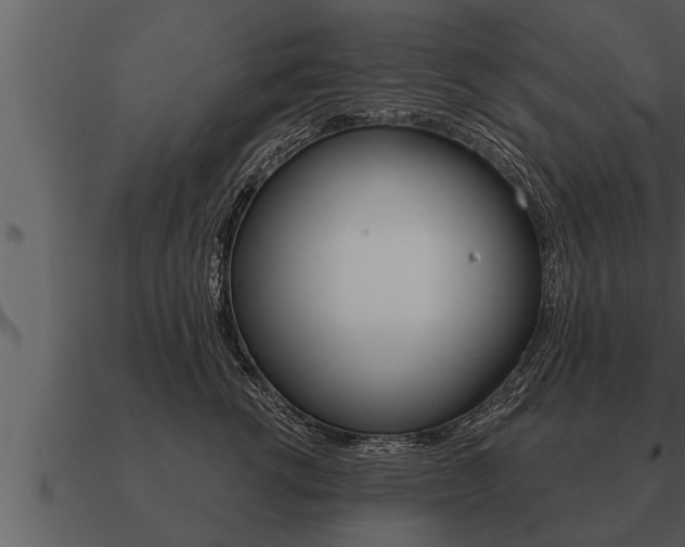 X0000091090762200708060959
