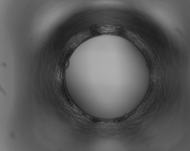 X0000091090763200708060959