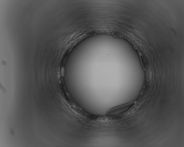 X0000091090764200708060959