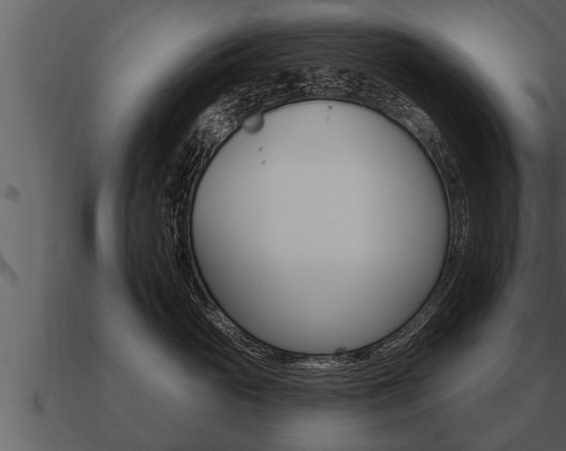 X0000091090765200708060959