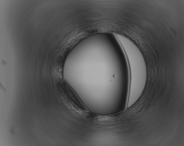 X0000091090766200708060959