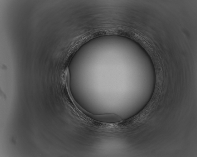 X0000091090768200708060959