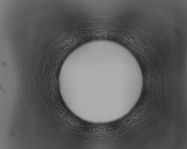 X0000091090769200708060958