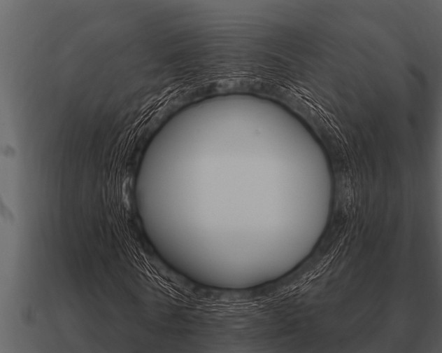 X0000091090770200708060958