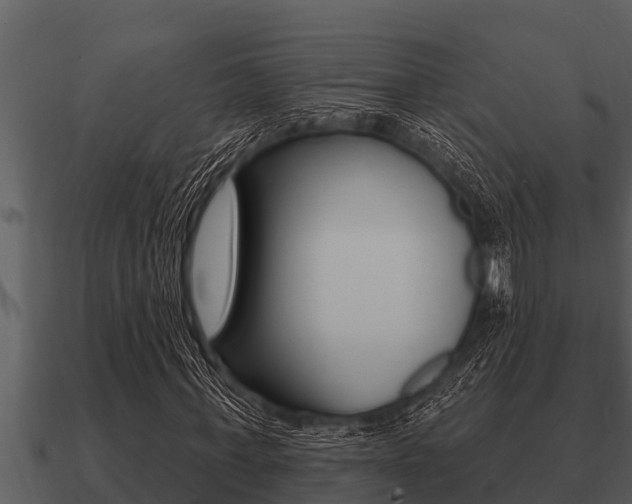X0000091090771200708060958