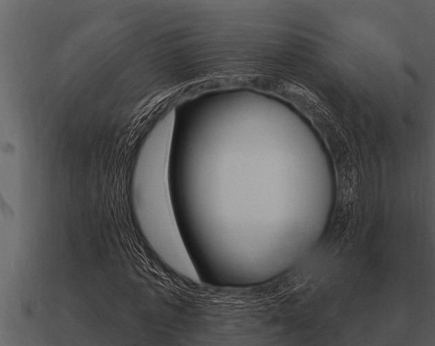 X0000091090773200708060958