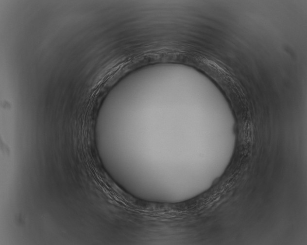 X0000091090774200708060958