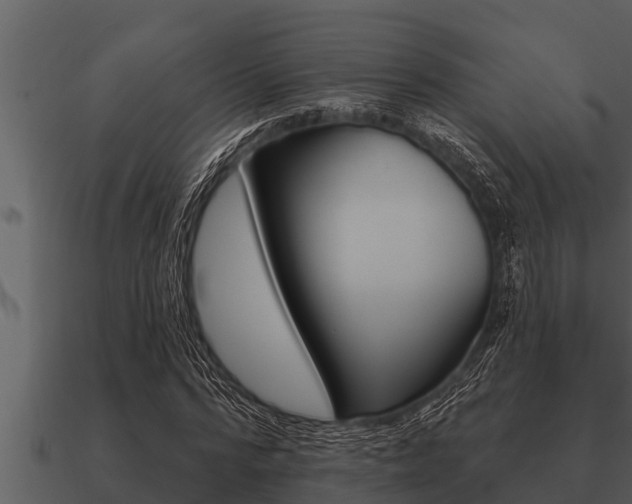 X0000091090776200708060958