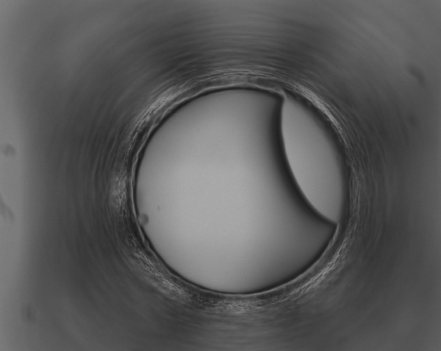 X0000091090778200708060958