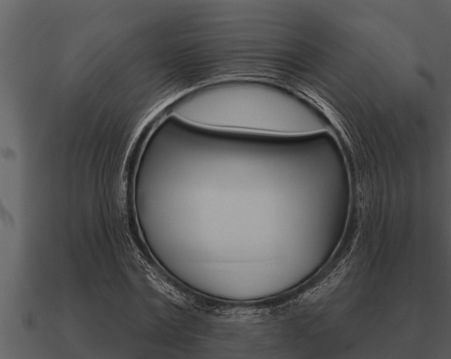X0000091090779200708060958