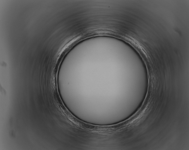 X0000091090782200708060958