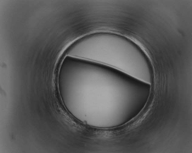 X0000091090783200708060958