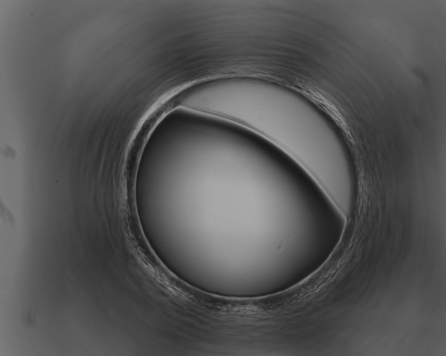 X0000091090784200708060958