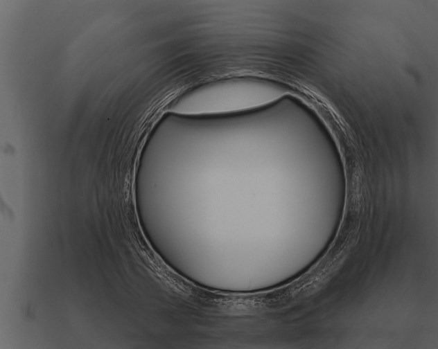 X0000091090785200708060958