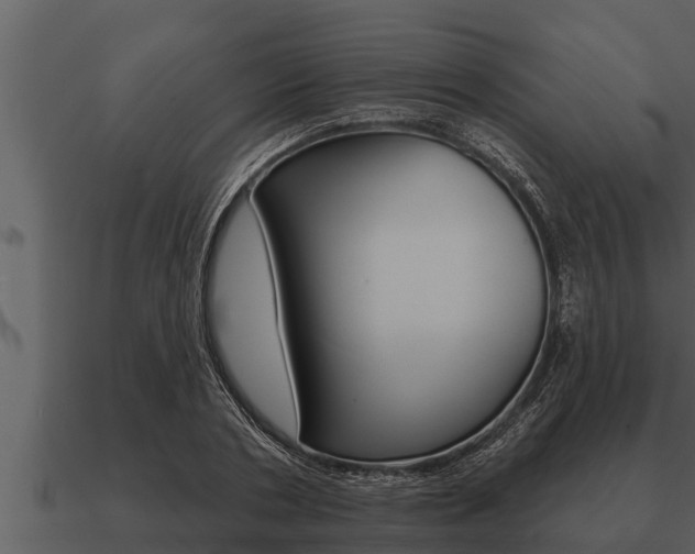 X0000091090786200708060958