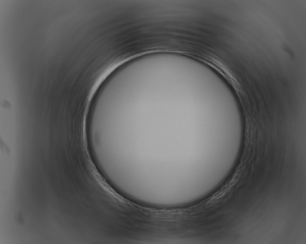 X0000091090788200708060958