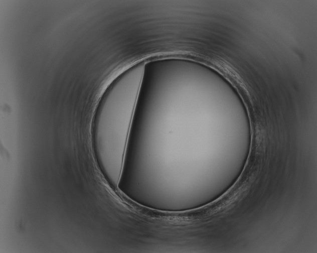 X0000091090789200708060958