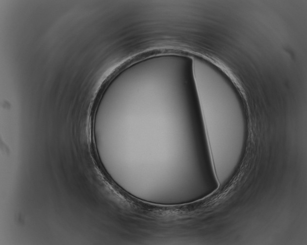 X0000091090791200708060958