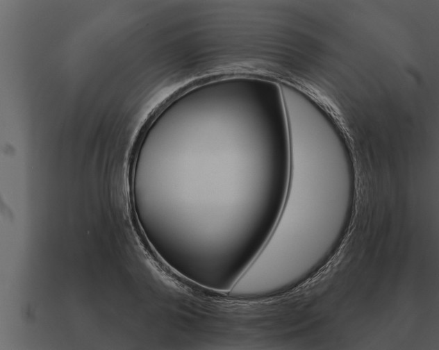X0000091090792200708060958