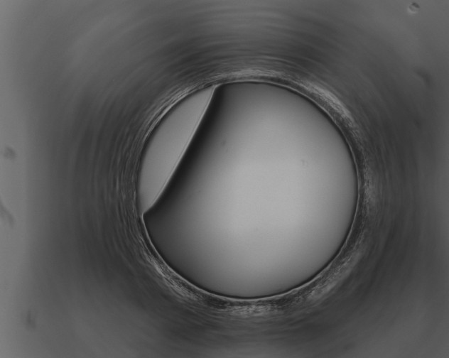 X0000091090793200708060958
