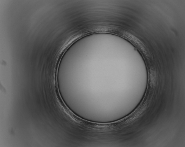X0000091090794200708060958