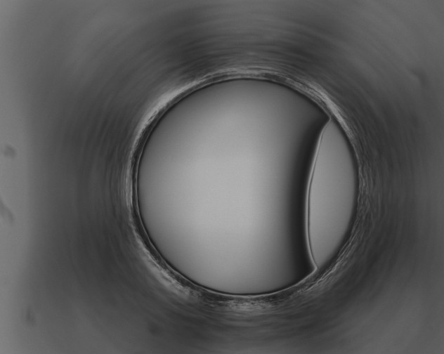 X0000091090795200708060958