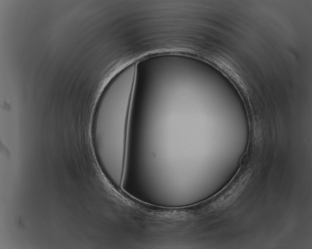 X0000091090797200708060958