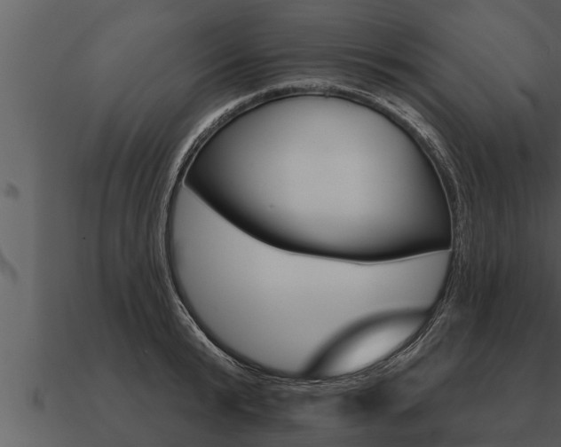 X0000091090799200708060957