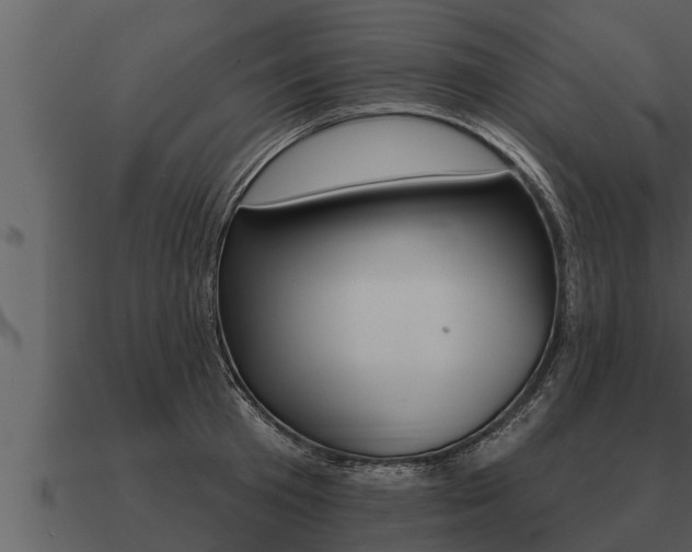 X0000091090801200708060957