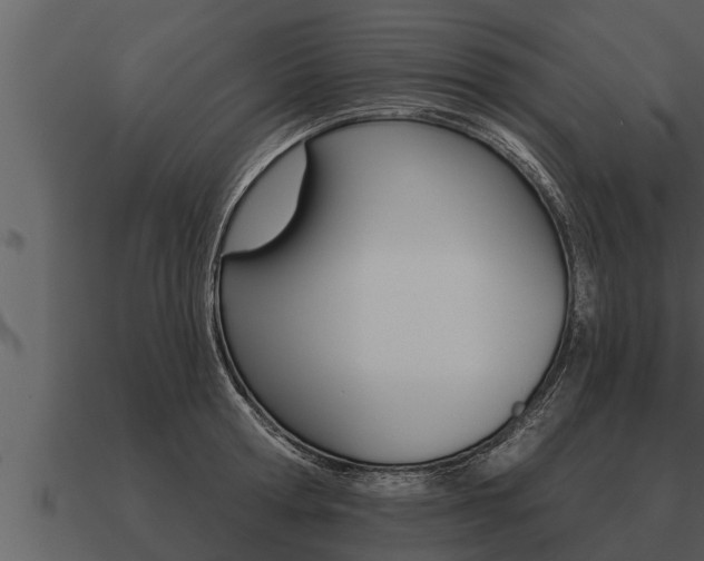 X0000091090802200708060957