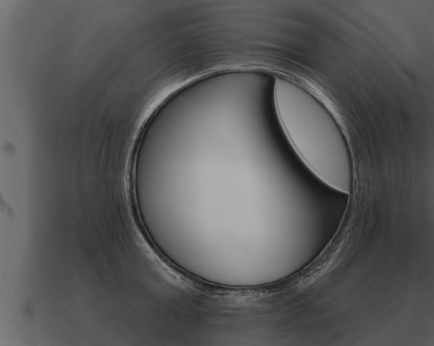 X0000091090803200708060957