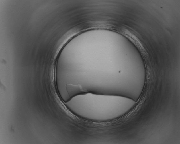 X0000091090804200708060957