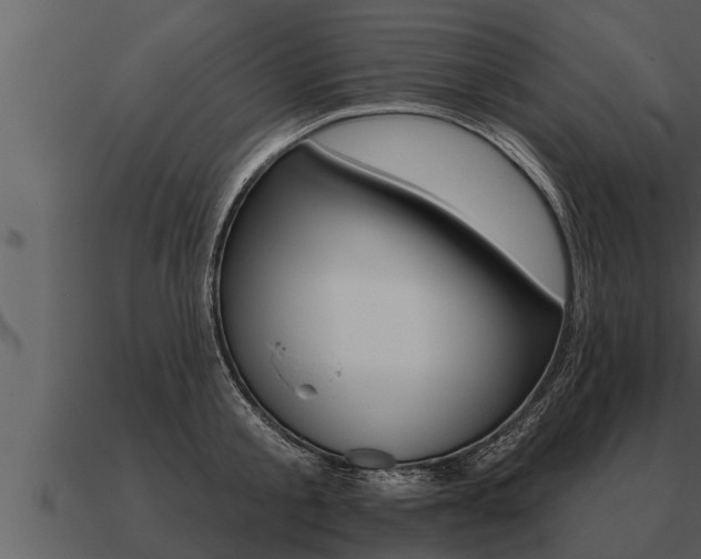 X0000091090805200708060957