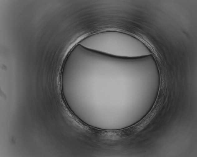 X0000091090806200708060957