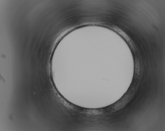 X0000091090807200708060957
