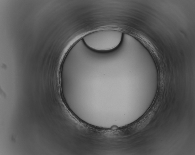 X0000091090808200708060957
