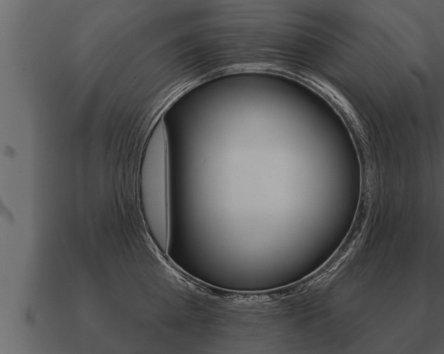 X0000091090809200708060957