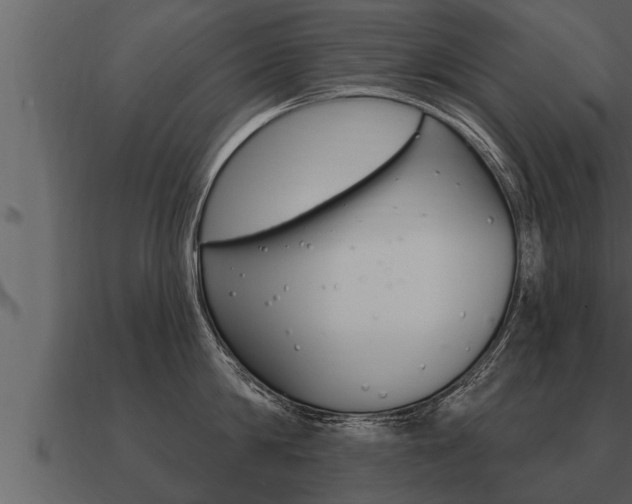 X0000091090814200708060957