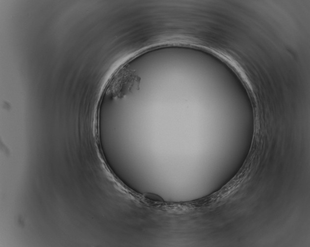 X0000091090815200708060957