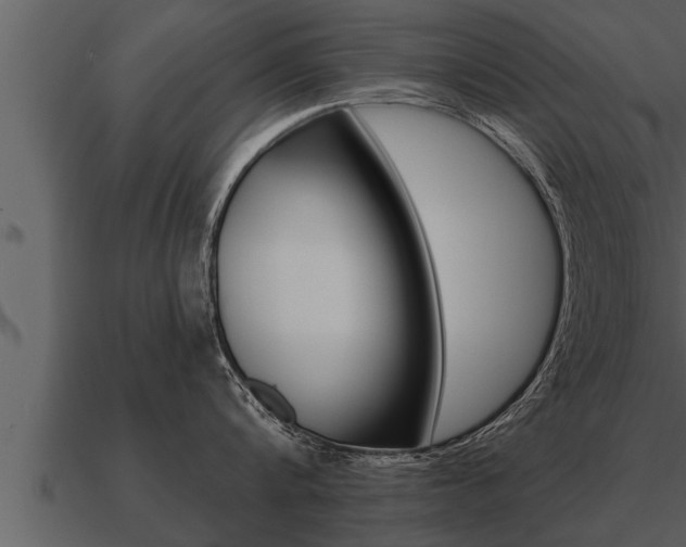 X0000091090816200708060957