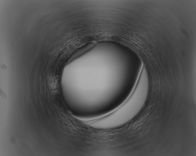 X0000091090818200708060957