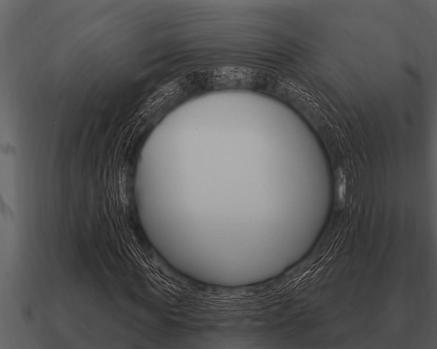 X0000091090819200708060957