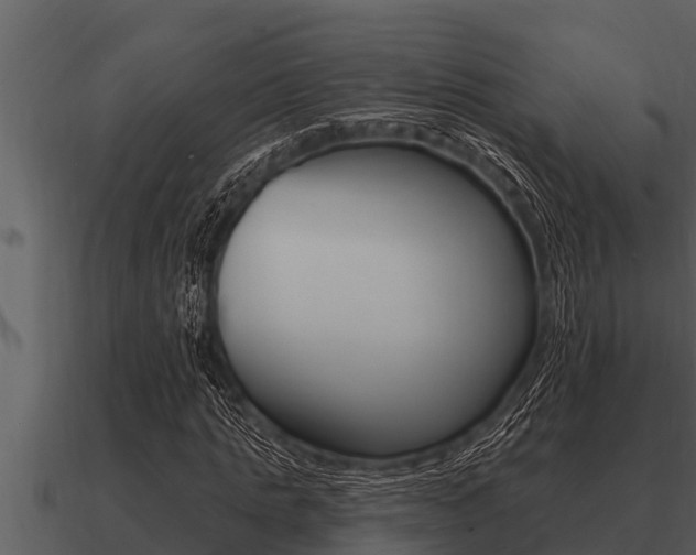X0000091090821200708060957