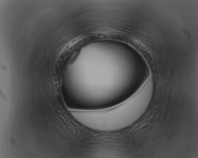 X0000091090822200708060957