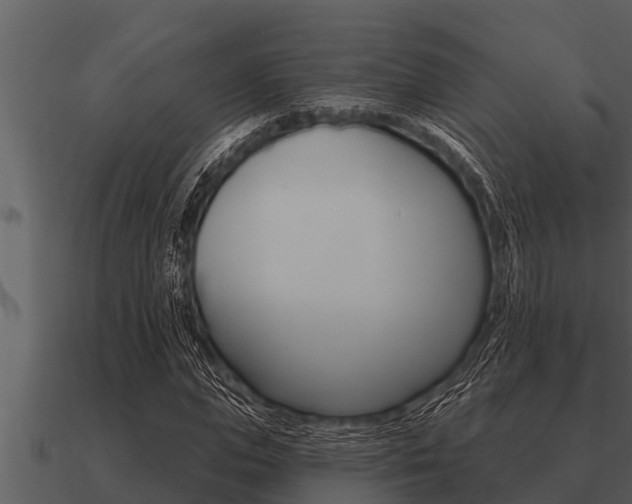 X0000091090823200708060957