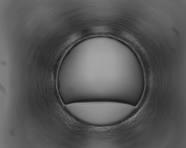 X0000091090825200708060957